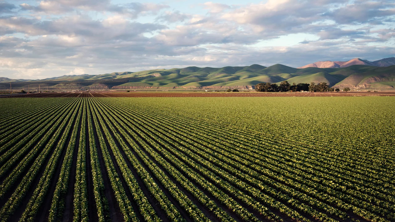 Nos références dans le secteur de l'Agriculture
